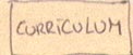 Curriculum Vitae