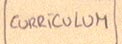 Curriculum Vitae
