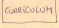 Curriculum Vitae