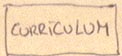 Curriculum Vitae