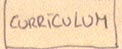 Curriculum Vitae