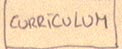 Curriculum Vitae