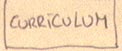 Curriculum Vitae