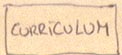 Curriculum Vitae