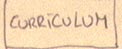 Curriculum Vitae