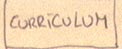 Curriculum Vitae